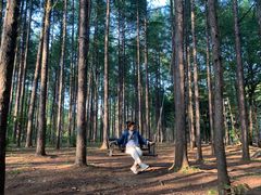 -龙道沟景区
