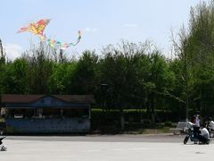 -丁香湖公园