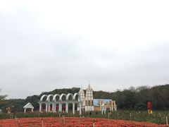 -松山湖梦幻百花洲