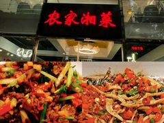 -农家湘菜(安亭店)