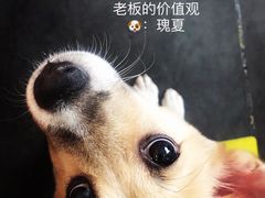 -慢象咖啡(台江店)