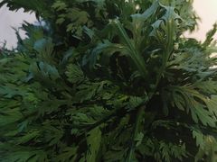 -小龙坎火锅(IFS HOT店)