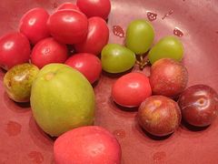 -同庆楼(滨湖万达广场店)