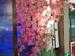 -野妹火锅(龙岗店)