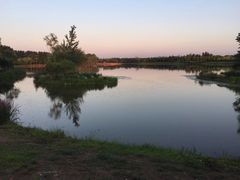 -东郊湿地公园