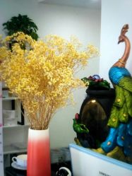 -SPICERY HOUSE芳香世家皮肤管理中心