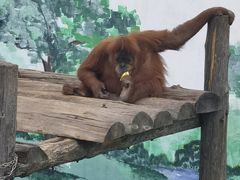 -西霞口神雕山野生动物世界