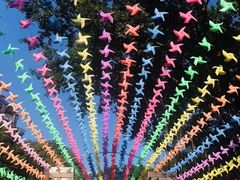 -船政文化景区-罗星塔公园