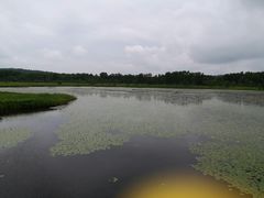 -御道口草原森林风景区-游客咨询处