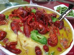 小龙虾-洪泽湖湾