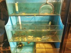 水产区-Thai Basil罗勒叶泰式餐厅(时代天街店)