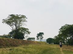 -盘龙城国家考古遗址公园