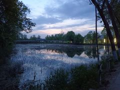 -微山湖红荷湿地景区