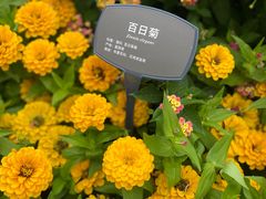 -国家植物园