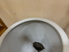 -九忠祥小笼馆(保利时光里店)
