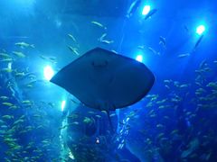 -成都浩海立方海洋公园