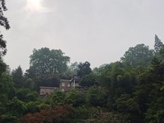 -莫干山风景区