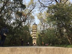 -灵谷景区