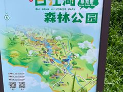 -广州白江湖森林公园