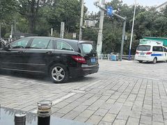 -紫藤园·天目湖大鱼头(南山竹海店)