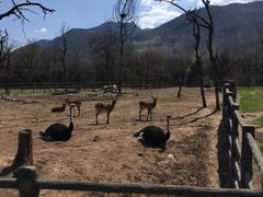 -西安秦岭野生动物园