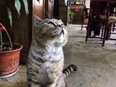 -无锡惠山寺