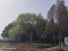 -宝界山林公园