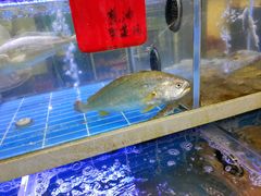 -金海湾海鲜排档(朱家尖店)