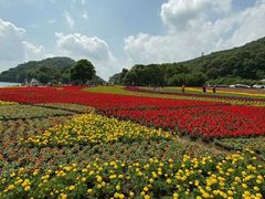 -广州市石门国家森林公园
