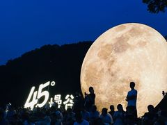 -无锡梅园公园
