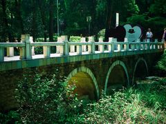 -铁山坪森林公园