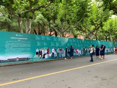 -木及咖啡