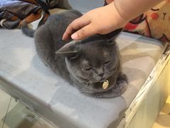 -小时光咖啡馆(开森度假森林店)