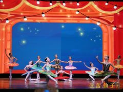-芭蕾仙子 FairyBallet 少儿芭蕾舞蹈中心(丽都旗舰店)