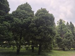 -泰丰公园