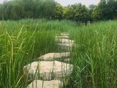 -西青郊野公园
