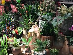 -Ole精品超市(南宁万象城店)