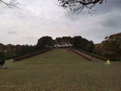 -麦粒鸟亲子游
