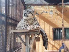 -青藏高原野生动物园