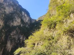 -真地道京味府·鲜橙烤鸭·北京菜(朝外大街东大桥店)