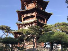 -迎泽公园