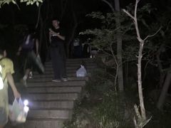 -紫金山山顶公园
