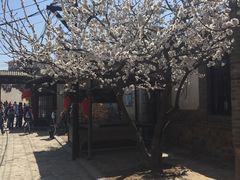 -清风小镇闯关东影视基地