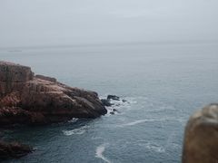 -枸杞岛