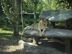 -北京野生动物园