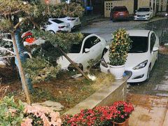 -雅和生态渔庄·宜城锅巴饭(龙灵山公园店)