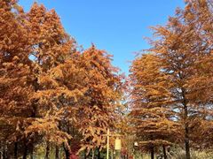 -梁鸿国家湿地公园