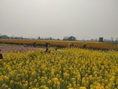 -中国天府农业博览园