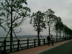-羚羊峡古栈道森林公园