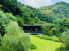 -云溪植物园